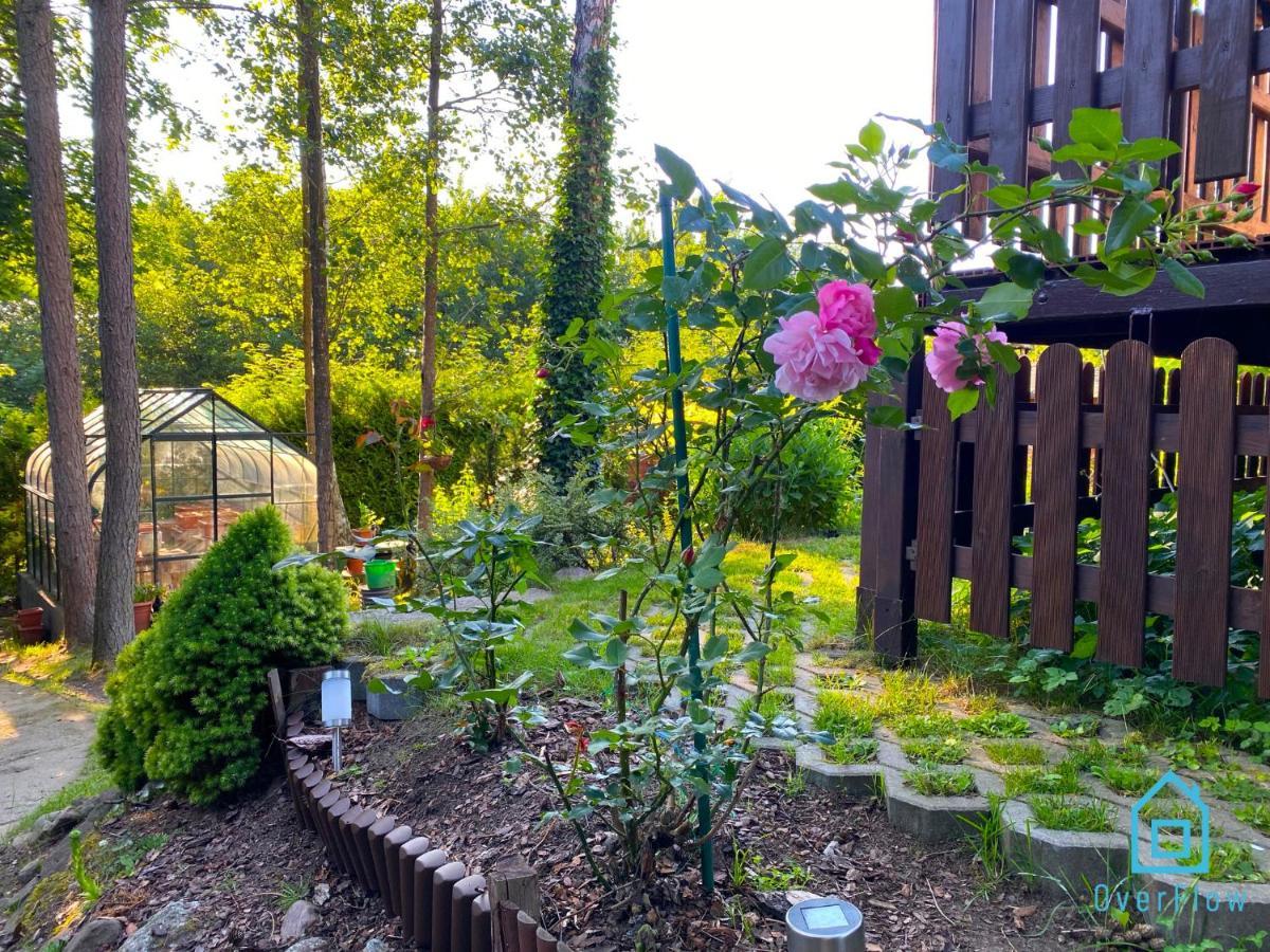 Holibobos Year Round Cottage In Kamien By The Lake Only 30 Minutes From Gdansk And Gdynia Dış mekan fotoğraf